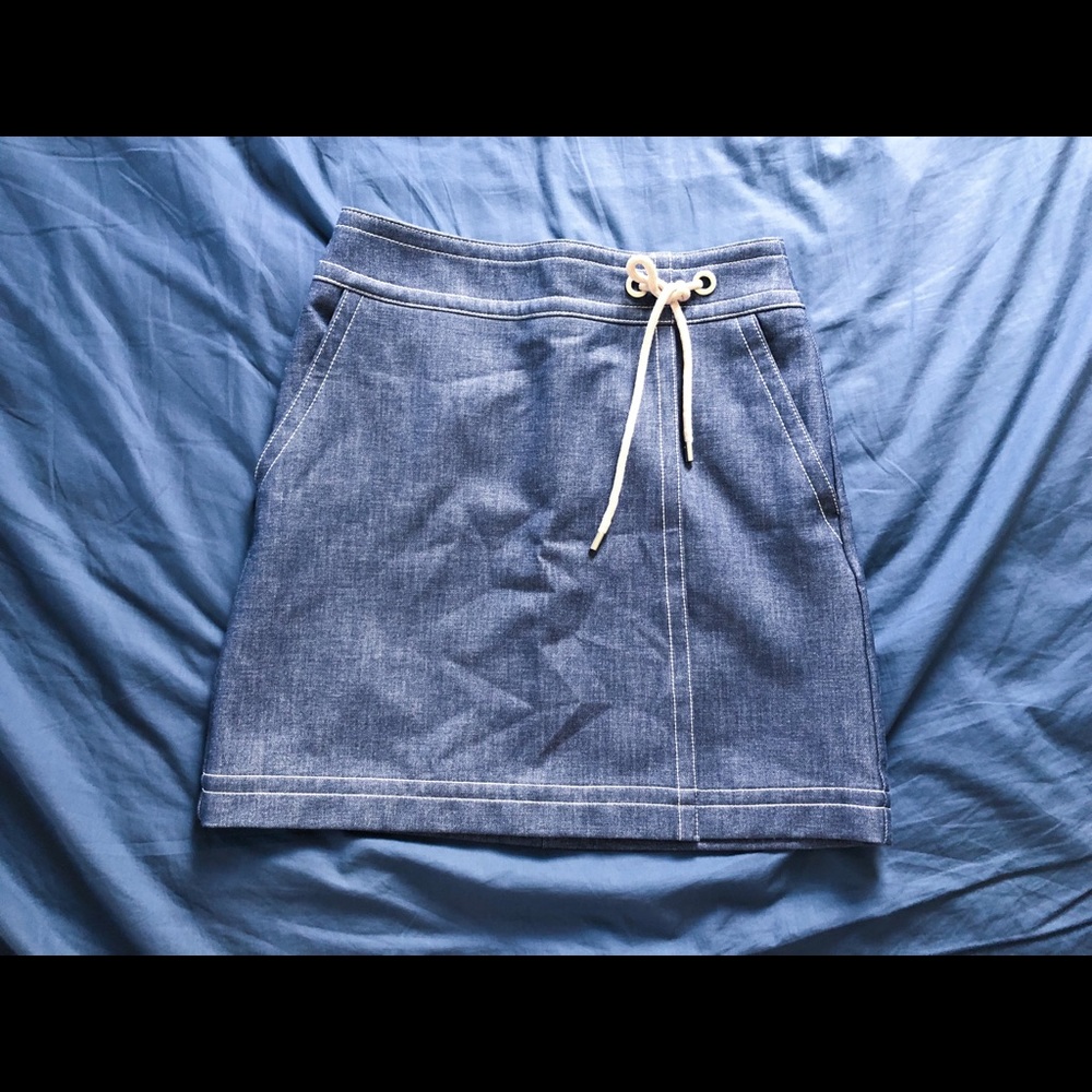 Ann Taylor Skirt Petite